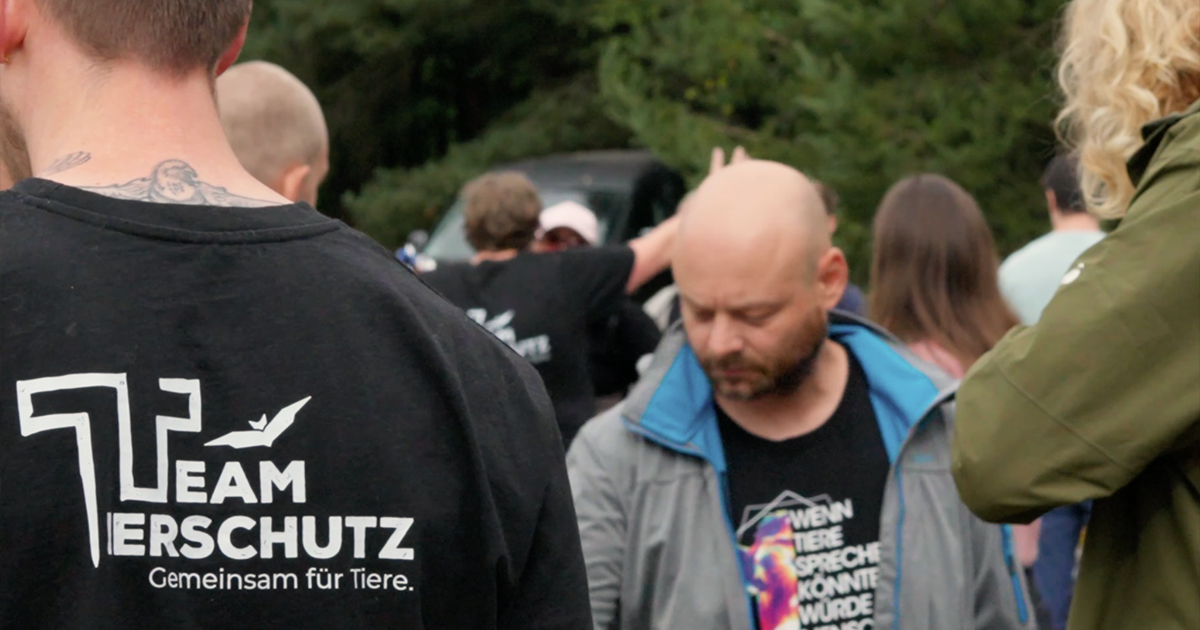Team Tierschutz Vorstellung: Community