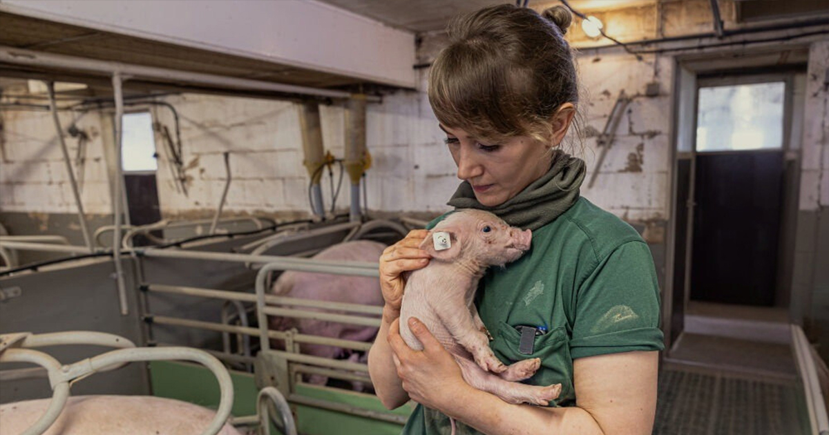 Team Tierschutz Vorstellung: Tamara